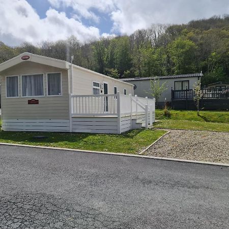 The Tiddler - Plot 101, Woodlands Lodge Retreat, New Quay, West Wales Llanina Extérieur photo